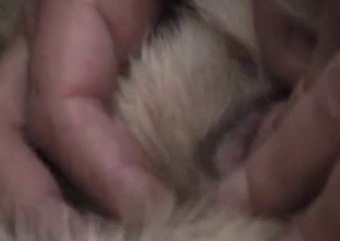 The tight asshole of this puppy gets played with