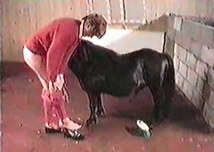 Awesome handjob for a sexy pony
