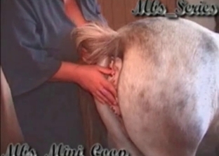 Dirty anal action with a stallion