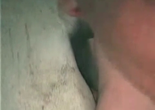 Anal sex with an awesome stallion