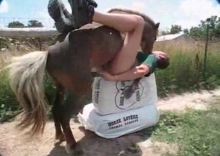 Sexy pony and hot babe are enjoying bestiality sex