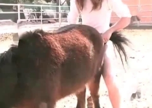 Student and sexy pony love bestiality sex