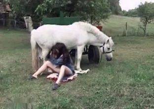 Best blowjob for an awesome horse