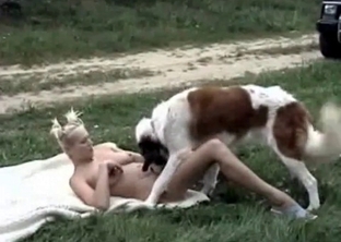 Trained animal in perfect outdoor zoophilia