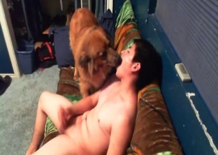 Onwer is enjoying dirty sex with a dog