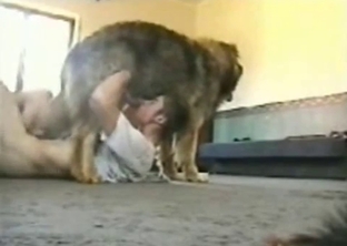 Very big dog knows how to fuck a human
