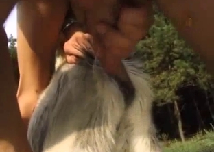 This man is banging a goat in doggy style