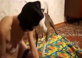 Watch how a doggy is licking her little cunt