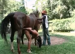 Brunette fucking a horse in front of a guy
