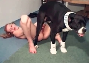 Skillful dog can't stop banging a model