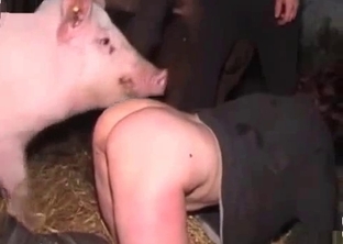 Slut gets to fuck a sexy-ass pig