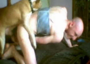 Passionate doggy and his bald owner enjoy anal sex