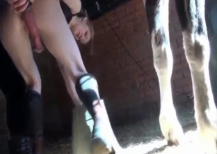 Sensual slender female and a big beast in the barn