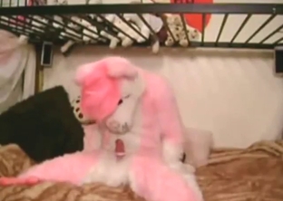 Solo-style bestiality sex with a furry Husky