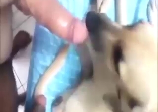 Creamy finish is expected with every beast