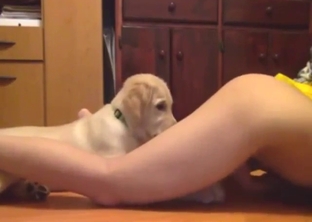 Asian hottie wants this dog to lick her good