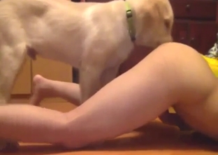 Asian hottie wants this dog to lick her good