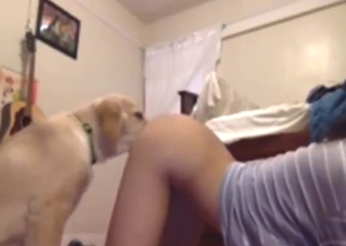 Asian hottie wants this dog to lick her good