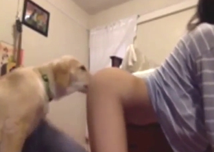 Asian hottie wants this dog to lick her good