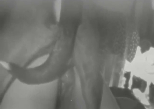 Horny lady is going to get fucked on all fours