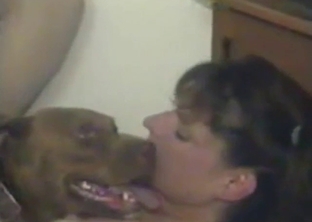 Brunette wife in white stockings seduces a dog