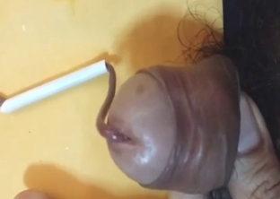 Hot zoo XXX with a guy who loves worm porn