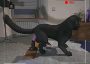 Panther anal with two gay animated animals
