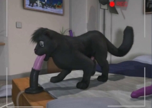 Panther anal with two gay animated animals