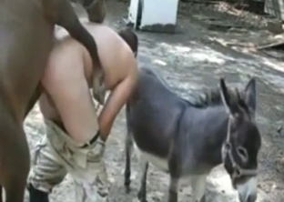 Dude fucks a small stallion, his ass is ruined