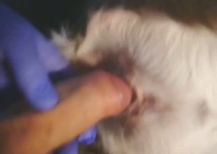 Doe is going to get that asshole fucked silly