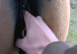 Guy is going to explore mare's hot pussy up close