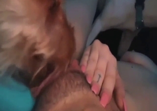 Hot dog sex: animal that takes licking seriously