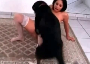 Hungry animal eats her twat with love