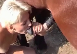 Oral bestiality action with a blondie