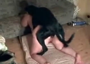 Black doggy and sexy female in awesome bestiality
