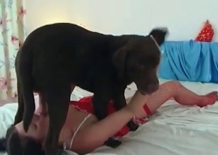 Horny lass and black doggy in perfect bestiality