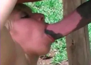 Stallion dick gets sucked by awesome zoophile