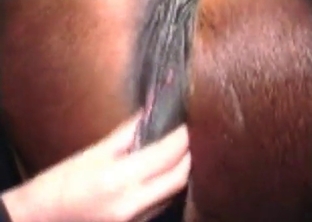 Horse ass looks so freaking awesome